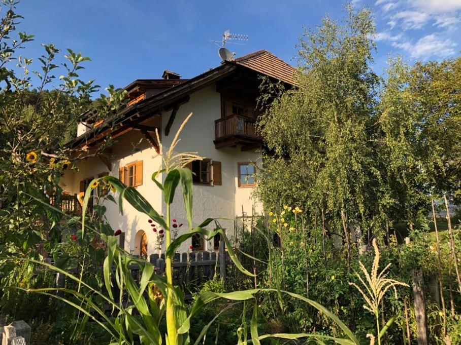 Birbamergut Longostagno Exteriér fotografie